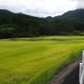 Ehime - Bei einer japanischen Familie zuhause