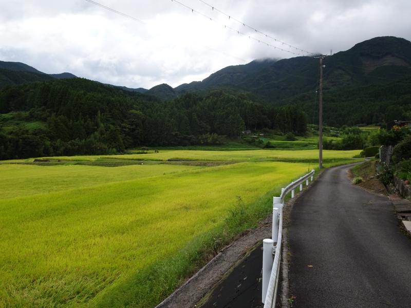 Featured image of post Ehime - Bei einer japanischen Familie zuhause